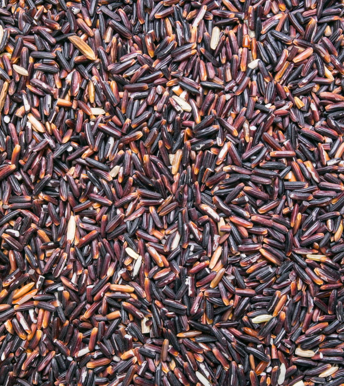 Burma Black Rice